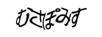 Authentication image